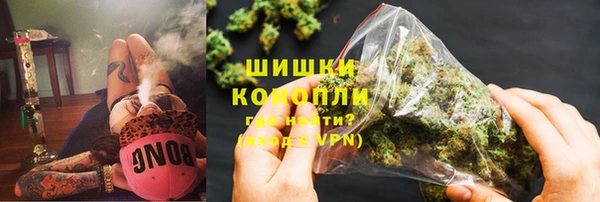 твердый Богородск