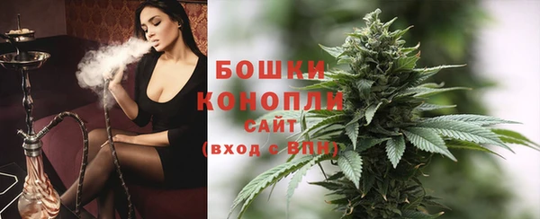 стаф Богданович