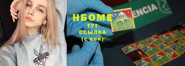 твердый Богородск