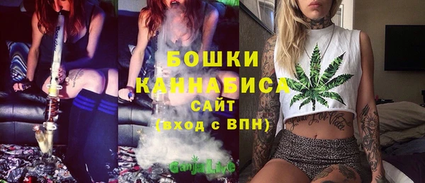 твердый Богородск