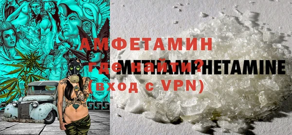 стаф Богданович
