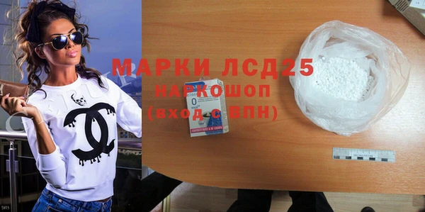 стаф Богданович