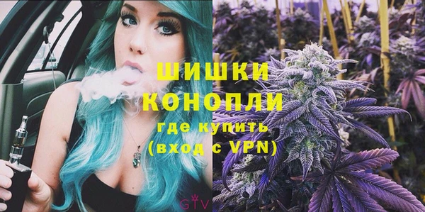 стаф Богданович