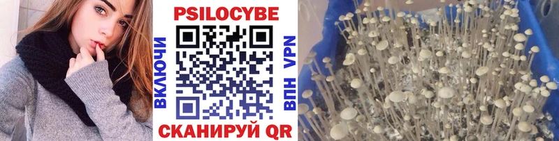Галлюциногенные грибы прущие грибы Няндома
