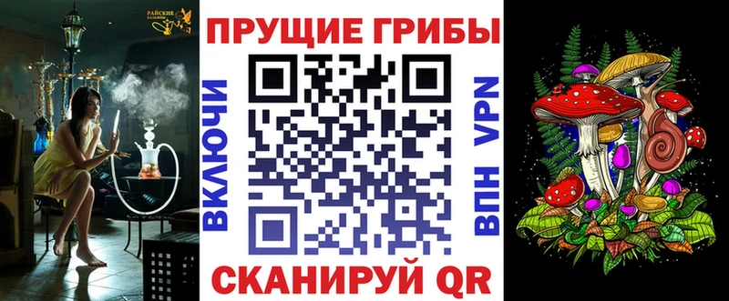 сколько стоит  Няндома  Галлюциногенные грибы GOLDEN TEACHER 