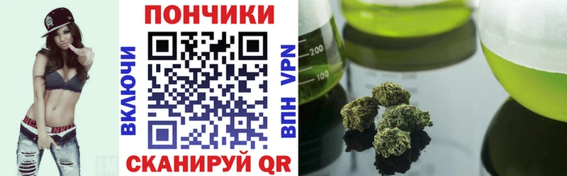 наркота  Няндома  Бошки марихуана SATIVA & INDICA 